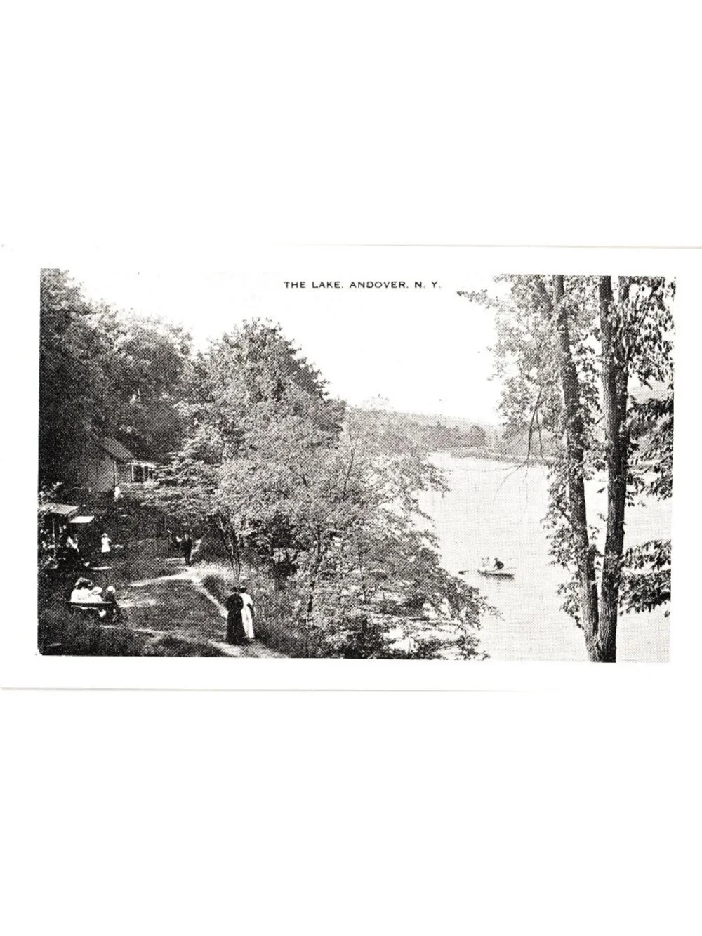 The Lake Andover N.Y. Vintage Postcard Andover Historical Society Unused